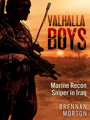 cover image of Valhalla Boys